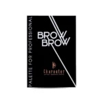 Character Professional Brow Palette ( PBP001 )