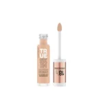 true skin high cover concealer